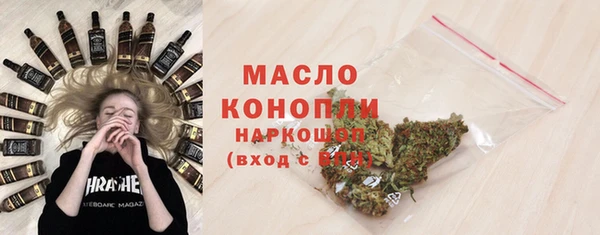 хмурый Пересвет