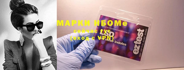хмурый Пересвет