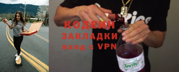 хмурый Пересвет