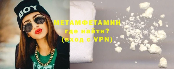 хмурый Пересвет