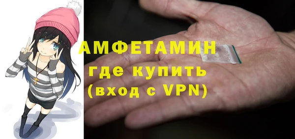 хмурый Пересвет