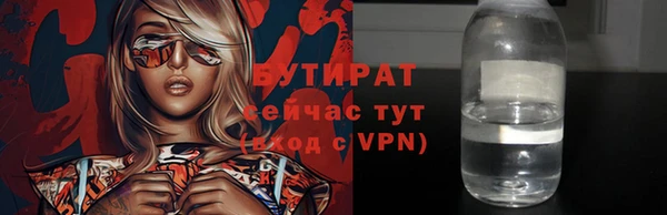 хмурый Пересвет