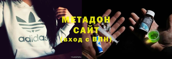 хмурый Пересвет