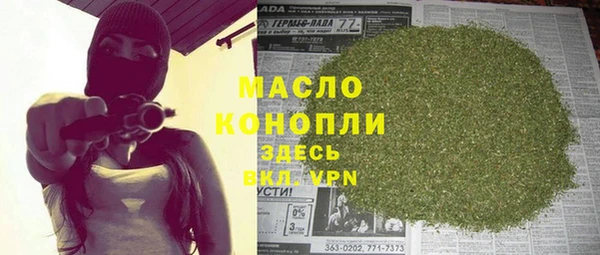хмурый Пересвет
