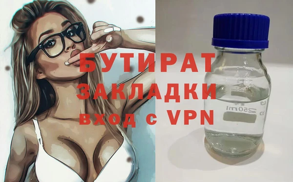 хмурый Пересвет