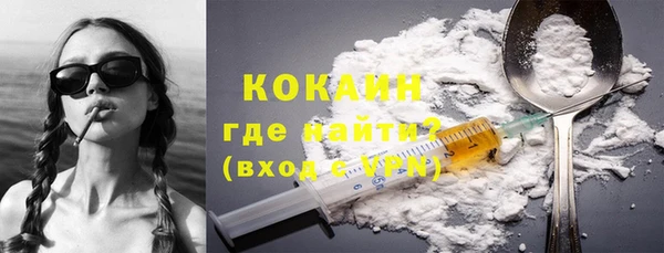 хмурый Пересвет