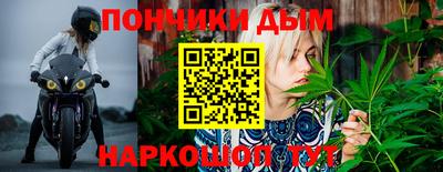 крисы Апшеронск