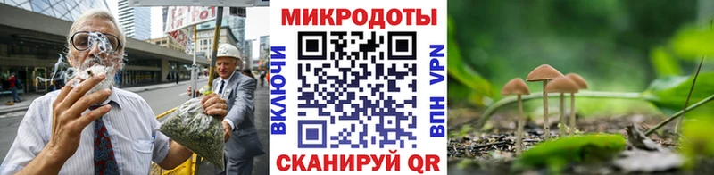 Псилоцибиновые грибы прущие грибы  ОМГ ОМГ онион  Ахтубинск  сколько стоит 