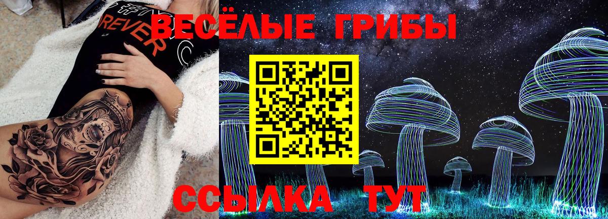 Псилоцибиновые грибы Cubensis Ахтубинск