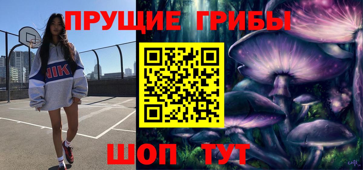 Псилоцибиновые грибы прущие грибы  Галлюциногенные грибы Cubensis  Ахтубинск 