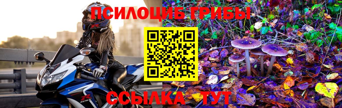 Бошки Шишки Ахтубинск