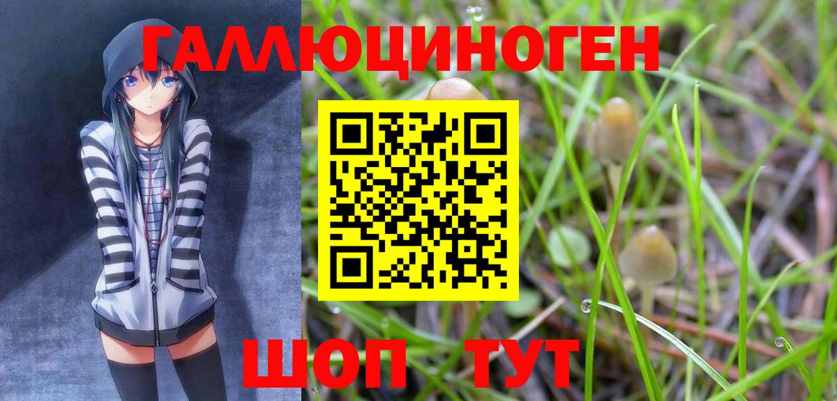 Псилоцибиновые грибы ЛСД Ахтубинск